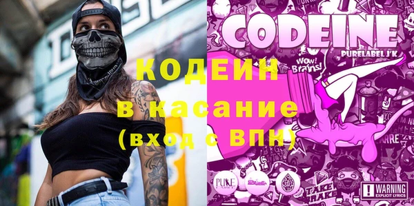 индика Аркадак