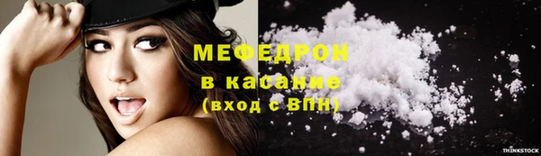индика Аркадак