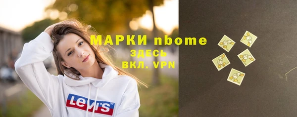 индика Аркадак