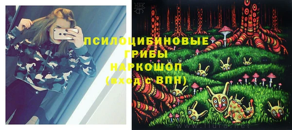 индика Аркадак