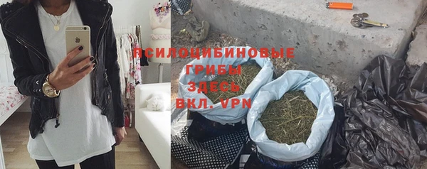 индика Аркадак