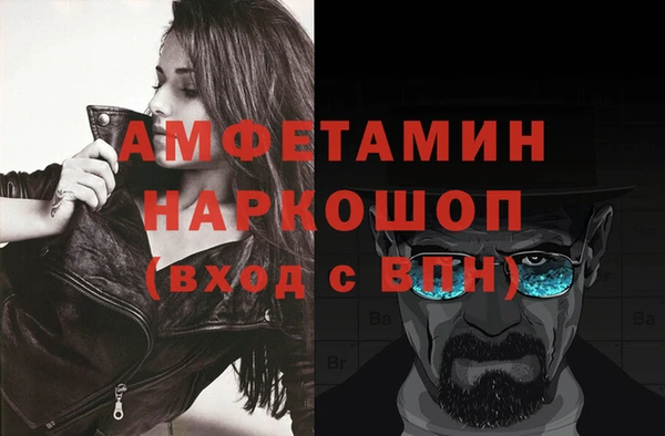индика Аркадак