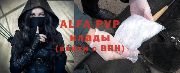 индика Аркадак