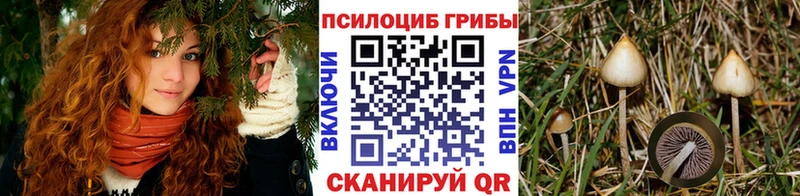 Галлюциногенные грибы Cubensis  Кулебаки 